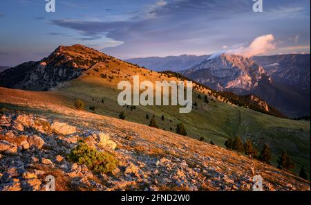 Alba sulla montagna Serra de Ensija, con il massiccio della Pedraforca sullo sfondo (Berguedà, Catalogna, Spagna, Pirenei) Foto Stock