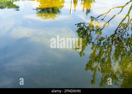 Gli alberi si riflettono nello stagno Foto Stock