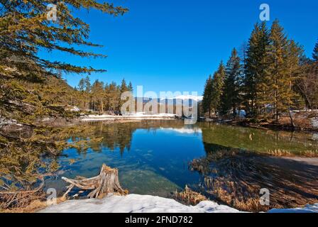 Fiume Rienza, affluente ed emissario del lago di Dobbiaco, Val Pusteria, Trentino-Alto Adige, Italia Foto Stock