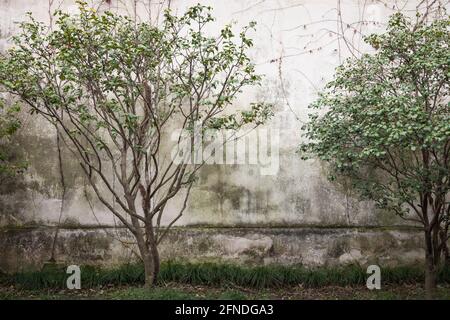 Una vista all'interno dell'umile Giardino dell'Amministratore a Suzhou, un sito patrimonio dell'umanità dell'UNESCO Foto Stock