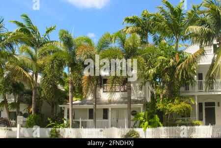 Case bianche dietro alte palme sotto il cielo blu vicino Porto delle navi da crociera a Key West Florida Foto Stock