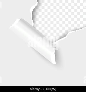 Foglio di carta bianca con bordo del foro strappato su trasparente modello vettoriale realistico di sfondo per il progetto Illustrazione Vettoriale