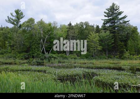 A Mont-Tremblant, Laurentian Mountains del Quebec, Canada Foto Stock