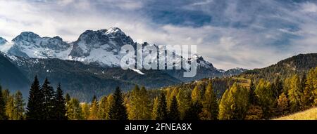 Cime innevate del gruppo Civetta con la foresta di larici autunnali in primo piano, Zoldo Alto, Val di Zoldo, Dolomiti, Italia Foto Stock