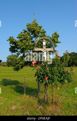 Croce, croce al Ratzinger Hoehe, vicino Dirnsberg, al mattino, luglio, Rimsting, Chiemsee, Chiemgau, Baviera, Germania Foto Stock