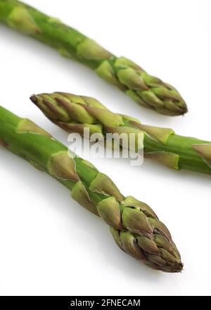 Asparagi, Asparagi vegetali, Asparagi comuni (asparagi officinalis), famiglia Asparagi, Asparagi verdi su fondo bianco Foto Stock