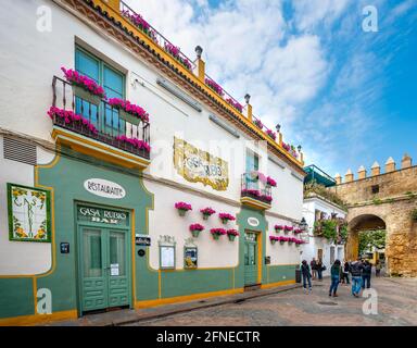 Casa di fronte a un ristorante nella città vecchia, gerani in vasi di fiori sulla parete della casa, Fiesta de los Patios, Cordoba, Andalusia, Spagna Foto Stock