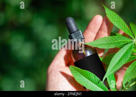 Erba di cannabis e foglie con estratti di olio in vasi. Concetto medico. Foto Stock