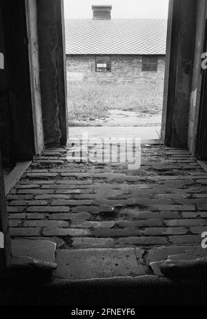 Vista da una caserma del campo di concentramento di Auschwitz-Birkenau (Auschwitz II) verso un altro edificio. Il campo fu costruito dalle SS nel 1940 e liberato dalle truppe sovietiche il 27 gennaio 1945. Il sito commemorativo, istituito nel 1947, è un sito patrimonio dell'umanità dell'UNESCO. [traduzione automatizzata] Foto Stock