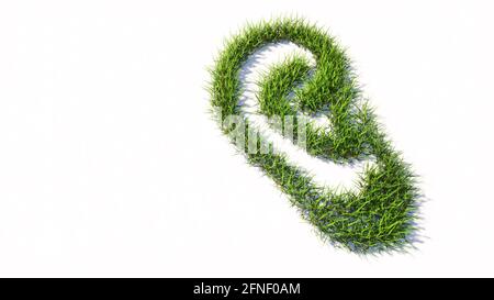 Concetto o concettuale verde estate prato erba isolato su sfondo bianco, segno di un orecchio. Una metafora di illustrazione 3d per la perdita dell'udito, tinnito Foto Stock