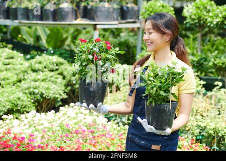 Bella giovane donna sorridente che tiene in vaso le piante che ha bisogno di a. portare al cliente Foto Stock