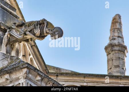 Foto in primo piano di Gargoyle che rappresenta lo scheletro nella cattedrale gotica in Palencia in Spagna Foto Stock