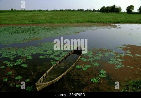 Riserva della biosfera del Delta del Danubio. Vicino a Crisan sul braccio Sulina - prati umidi con barca sommersa a remi. [traduzione automatizzata] Foto Stock