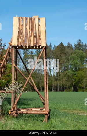 Una seduta in legno alta si trova sul bordo della foresta in Baviera in primavera Foto Stock