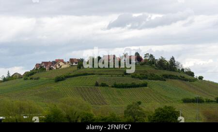 Villaggio in Alsazia, Francia circondato da vigneti Foto Stock