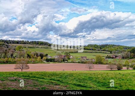 Il North Downs vicino Albury nelle colline Surrey vicino Guildford Inghilterra Regno Unito Foto Stock