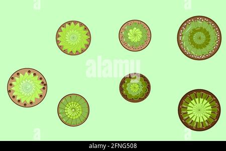 Houseplants insieme, piccole succulente Illustrazione Vettoriale