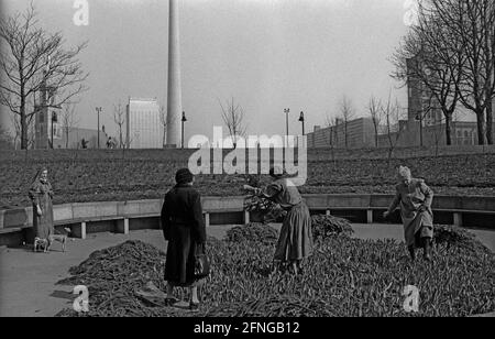 Germania, Berlino, 14.03.1991, fiorito a Marx-Engels-Forum, Marienkirche, Forum Hotel, Rotes Rathaus , [traduzione automatizzata] Foto Stock