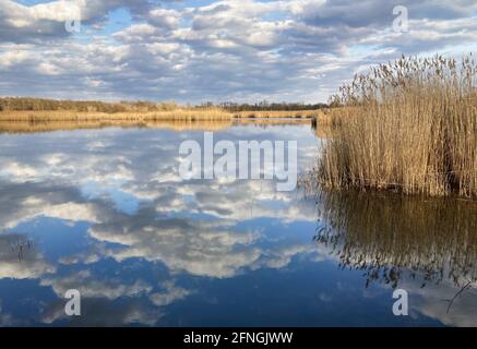 Lago con le nuvole di riflessione in primavera Foto Stock