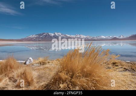 L'impressionante Laguna Verde al confine tra Cile e Bolivia. Accesso tramite percorsi nel deserto, di solito come parte di un gruppo di safari terrestre Foto Stock