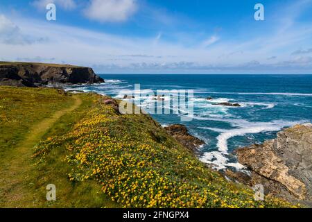 Porth Mear Nord Cornovaglia Foto Stock