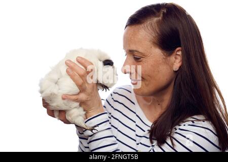 Attraente donna sorridente come lei tiene in su la sua cavia animale domestico maiale alla sua faccia isolato su uno sfondo bianco in un concetto di proprietà animale e compagni Foto Stock