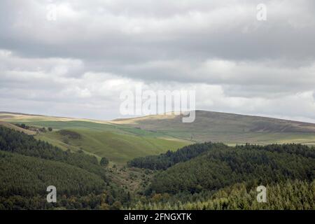 Shining Tor visto dalla Macclesfield Forest vicino Macclesfield Cheshire Inghilterra Foto Stock