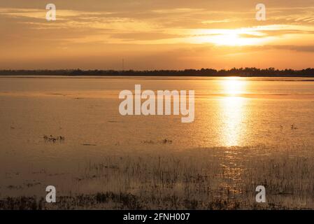 Donna silhouette che tiene in piedi palloncini d'aria e vedere il lago al tramonto Foto Stock