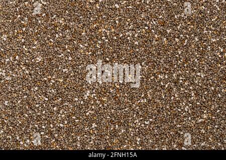 Chia semi, sfondo, dall'alto. Frutti di Salvia hispanica. Frutti ovali e grigi con macchie bianche e nere, molto igroscopici. Foto Stock