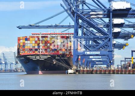 Nave portacontainer MSC Leanne presso il porto di Felixstowe, Suffolk, Inghilterra, Regno Unito Foto Stock