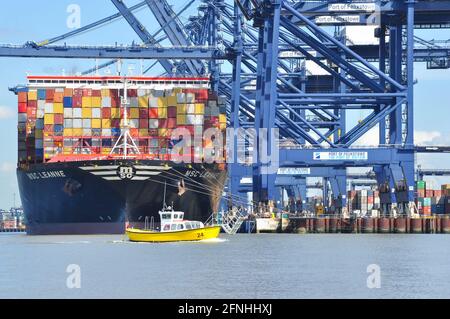 Il traghetto per il porto di Harwich è nano dalla nave portuale MSC Leanne presso il porto di Felixstowe, Suffolk, Inghilterra, Regno Unito Foto Stock