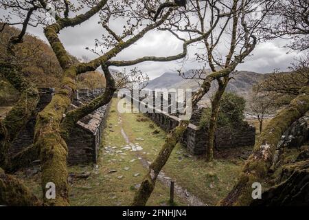 Fila di antichi cottage minatori abbandonati in cava di ardesia Dinorwic Galles del Nord. Eerie caserelle abbandonate lasciato dietro montagna top vecchia industria mineraria Foto Stock