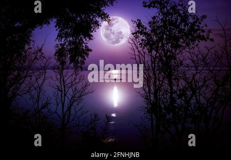 Albero contro il cielo sul lago tranquillo. Silhouette di boschi e luna piena luminosa avrebbe fatto una bella immagine. Bellezza della natura uso come sfondo. La luna t Foto Stock