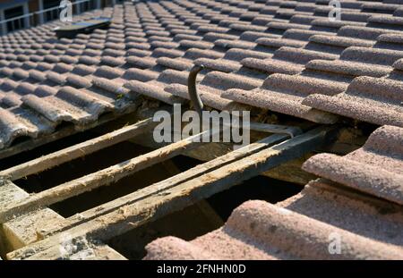 Foro in un vecchio tetto - da riparare Foto Stock