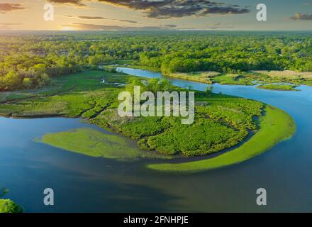 Vista aerea dall'alto sul fiume nella foresta verde Foto Stock