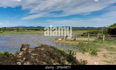 parco naturale alla periferia della città di barcellona in spagna. El prat del llobregat Foto Stock