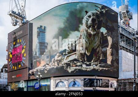 Londra, Regno Unito. 17 maggio 2021. Il giorno in cui i Cinemas sono autorizzati a riaprire, un cartellone di azione live in 3D, Piccadilly Lights, per lanciare l'imminente film campione d'incassi ARMY OF THE DEAD di Zack Snyder (Justice League). Utilizzando l'intero schermo digitale curvo di Piccadilly Circus, l'attivazione introduce i londinesi a "Valentine", la tigre zombie che appare nel film. La tigre VFX, creata dal supervisore degli effetti visivi Marcus Taormina (Bird Box, Guardiani della Galassia) che girano intorno a Las Vegas post-apocalittico. Credit: Guy Bell/Alamy Live News Foto Stock