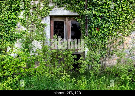 Vecchia porta onnature rivendicare la rovina di una casa di pietra abbandonata, Vipava valle , Slovenia Foto Stock