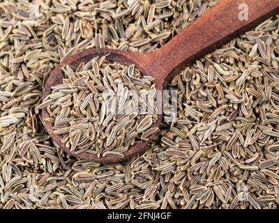 vista dall'alto del cucchiaio di legno sul mucchio di semi di zera di kala (elwendia persica, cumino nero) closeup Foto Stock