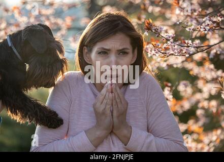 Ragazza impaurita in piedi accanto al cane e albero in fiore, sta avendo reazione allergica al polline e ai capelli animali Foto Stock