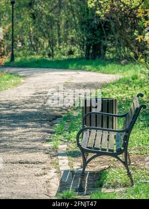 Solitaria panca in legno e vicolo lastricato nel parco Foto Stock