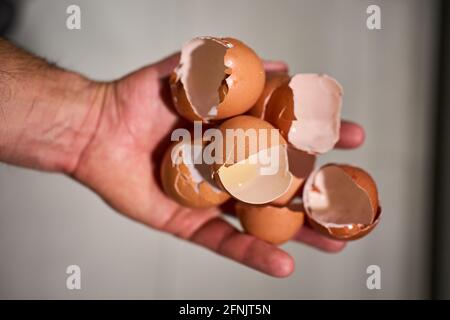 Mano con una manciata di gusci d'uovo rotti Foto Stock