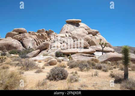 Parco Nazionale di Joshua Tree. Joshua Tree, California, Stati Uniti. Questa formazione rocciosa si chiama Cap Rock. Foto Stock