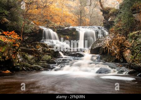 Autunno a Water Ark Foss, Goathland. North York Moors Foto Stock