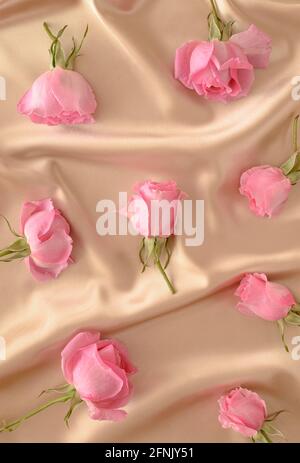 Un motivo di rose rosa disposte spontaneamente su uno sfondo beige satinato. Estate primavera fiori elegante concetto. Foto Stock