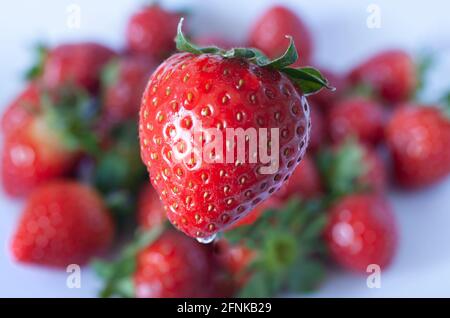 Un gruppo di fragole di yummy fresche, Studio shot. Foto Stock