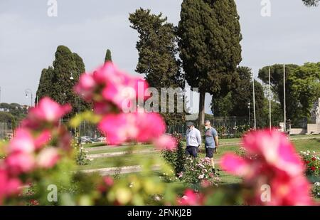 Roma, Italia. 17 maggio 2021. La gente visita Roma Rose Garden a Roma, 17 maggio 2021. Lunedì il gabinetto del primo ministro Mario Draghi ha deciso di rinviare il coprifuoco notturno anti-coronavirus e ha approvato un piano per un'ulteriore riapertura, mentre le tendenze pandemiche in Italia sono rimaste positive. Credit: Cheng Tingting/Xinhua/Alamy Live News Foto Stock