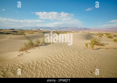 Mesquite Flat Sand Dunes nel Parco Nazionale della Death Valley, e bellissimo cielo nuvoloso sullo sfondo Foto Stock