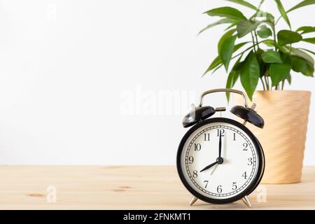 Classico orologio d'allarme nero vintage e pianta verde in vaso su tavolo di legno con sfondo bianco parete e spazio per la copia del testo. Concetto di tempo. Foto Stock