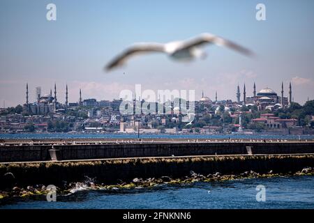 Istanbul, Turchia. 17 maggio 2021. Grande moschea di Santa Sofia e gabbiani visti da lontano. (Foto di Onur Dogman/SOPA Images/Sipa USA) Credit: Sipa USA/Alamy Live News Foto Stock